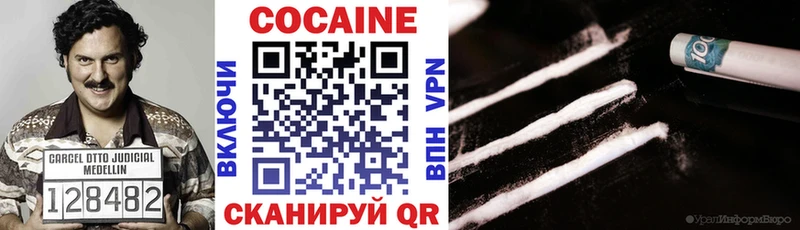 Cocaine FishScale  сколько стоит  Ельня 