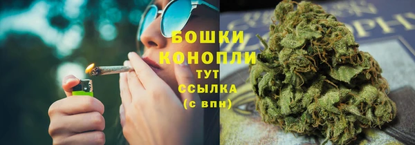 бошки Дмитриев