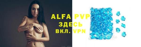 бошки Дмитриев