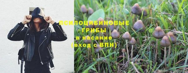 гидра Дмитров