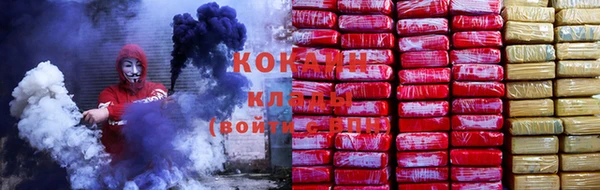 гидра Дмитров