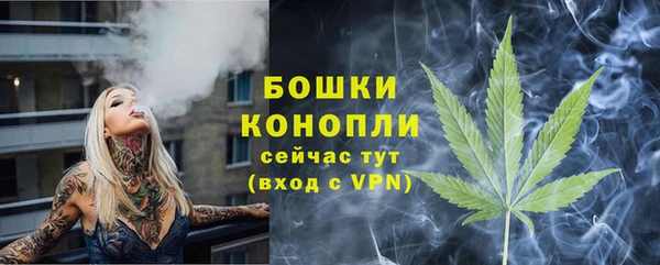 гидра Дмитров