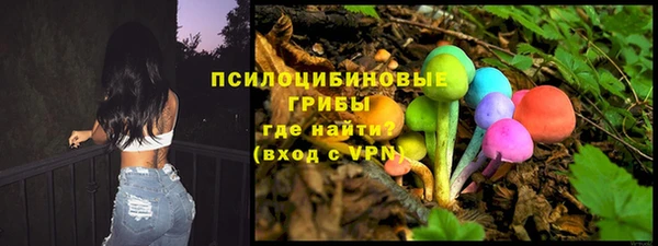 бошки Дмитриев