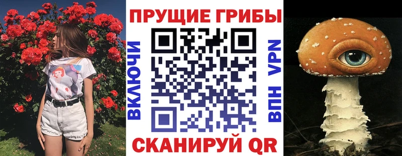 купить наркоту  Ельня  blacksprut как войти  Псилоцибиновые грибы мухоморы 